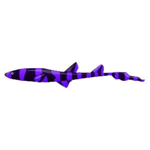 Purple Cat Shark